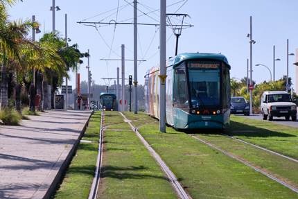 Tranvía en circulación cerca de la parada Intercambiador (Santa Cruz).