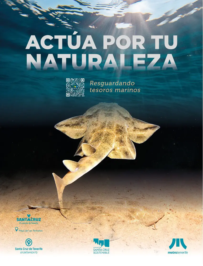 Imagen noticia