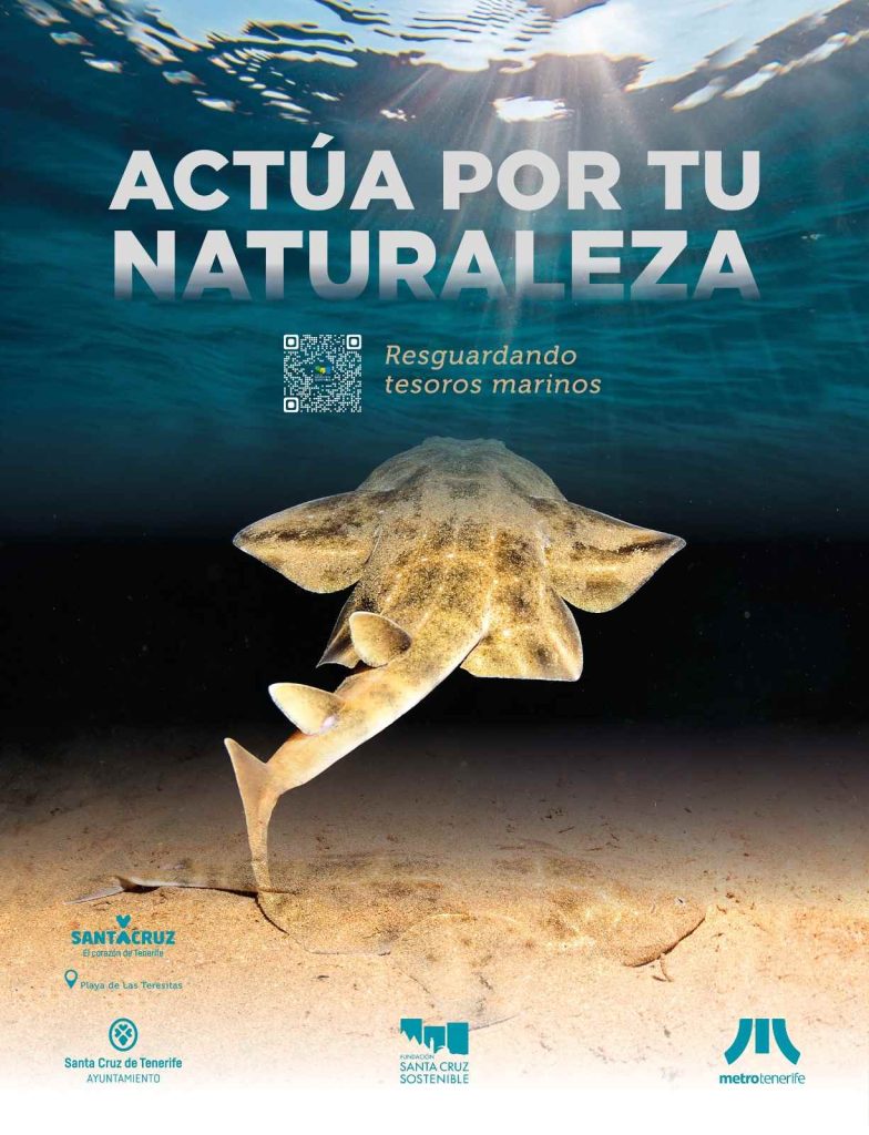 Cartel de la campaña de sensibilización. 