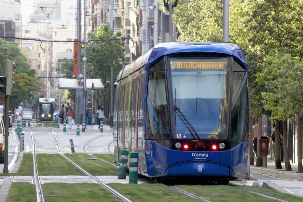 Tranvías en circulación por Santa Cruz.